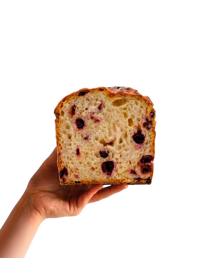 Gluten-free Panettone